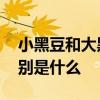 小黑豆和大黑豆的区别 小黑豆和大黑豆的区别是什么