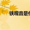 铁观音是什么茶 铁观音的功效与作用