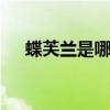 蝶芙兰是哪个的品牌 蝶芙兰是做什么的