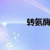 转氨酶是什么 转氨酶高怎么办