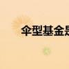 伞型基金是什么 伞型基金到底是什么