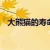 大熊猫的寿命有多长 大熊猫的寿命是多久