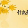 什么是权重 权重是什么意思