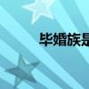毕婚族是什么  毕婚族是什么意思