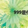 999是什么意思 999是什么含义