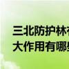 三北防护林有哪些重大作用 三北防护林的重大作用有哪些