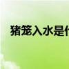 猪笼入水是什么意思 猪笼入水是什么含义