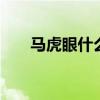 马虎眼什么意思 别打马虎眼什么意思