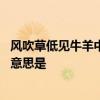 风吹草低见牛羊中的见是什么意思 风吹草低见牛羊中的见的意思是