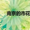 南京的市花是什么 南京的市花是什么花