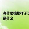 有什麼植物样子长得跟芦荟差不多 长得和芦荟差不多的植物是什么