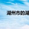 湖州市的湖叫什么 湖州市的湖叫什么湖