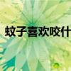 蚊子喜欢咬什么血型的人 蚊子喜欢咬哪些人