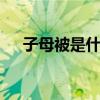 子母被是什么意思 子母被是什么样子的