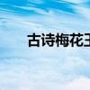 古诗梅花王安石带拼音 梅花诗拼音版