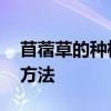 苜蓿草的种植方法有哪些 苜蓿草种植技术和方法