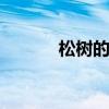 松树的特点是什么 松树的特点
