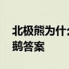 北极熊为什么不吃企鹅 北极熊为什么不吃企鹅答案 