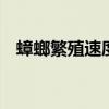 蟑螂繁殖速度到底有多快 蟑螂的繁衍速度