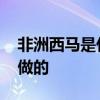 非洲西马是什么食物 非洲吃的西马是用什么做的