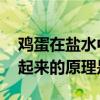 鸡蛋在盐水中浮起来的原理 鸡蛋在盐水中浮起来的原理是什么