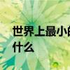 世界上最小的花是什么花 世界上最小的花是什么