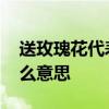 送玫瑰花代表什么意思 送玫瑰花到底代表什么意思