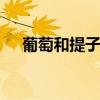 葡萄和提子的区别 葡萄和提子如何区分