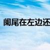阑尾在左边还是右边 阑尾位于左边还是右边