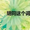 胡同这个词来自哪里 胡同一词来自哪里