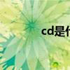 cd是什么牌子 cd是什么品牌