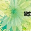 撇折怎么写 怎么写撇折
