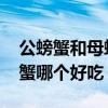 公螃蟹和母螃蟹哪个好吃 螃蟹公螃蟹和母螃蟹哪个好吃