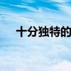 十分独特的意思 十分独特的意思是什么