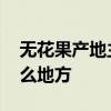 无花果产地主要在哪个省 无花果的产地在什么地方 