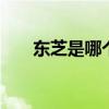东芝是哪个的品牌 东芝是什么的品牌
