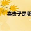 喜贵子是哪个的品牌 喜贵子是做什么的