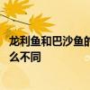 龙利鱼和巴沙鱼的区别哪种有营养 龙利鱼和巴沙鱼主要有什么不同