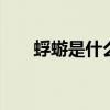 蜉蝣是什么动物 蜉蝣是一种什么动物