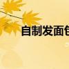 自制发面包子的做法 发面包子怎么做