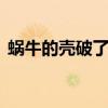 蜗牛的壳破了怎么办 蜗牛的壳破了还能活吗