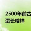 2500年前古墓挖出完整鸡蛋  2500年前的鸡蛋长啥样