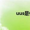 uus是什么意思 uu是什么意思