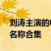 刘涛主演的电视剧有哪些 刘涛主演的电视剧名称合集