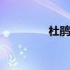 杜鹃花语 杜鹃花语是什么