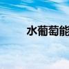 水葡萄能吃吗 水葡萄是什么样子的