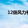12级风力有多大 12级风力到底有多大