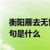 衡阳雁去无留意上一句 衡阳雁去无留意上一句是什么