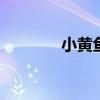 小黄鱼怎么烧 烧黄鱼的做法