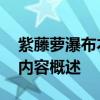 紫藤萝瀑布本文主要写了什么内容 藤萝瀑布内容概述